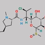 Clindamycin Sulfoxide CAS#: 22431-46-5