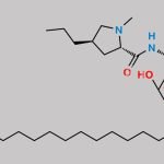 Clindamycin Sulfoxide 2-Palmitate Isomer CAS#: N/A
