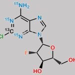 Clofarabine-13C-15N3 CAS#: N/A