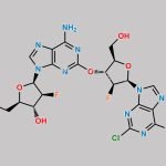 Clofarabine Impurity 5 CAS#: 1093278-61-5