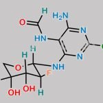 Clofarabine Related Compound 1 CAS#: 1140251-30-4