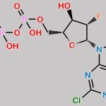 Clofarabine Triphosphate CAS#: 134646-41-6