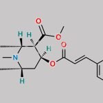 Cocaine EP Impurity A CAS#: 50763-20-7
