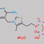 Cocarboxylase Tetrahydrate CAS#: 68684-55-9