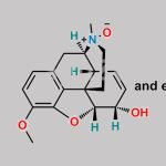 Codeine EP Impurity J CAS#: 3688-65-1