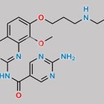 Copanlisib Impurity A CAS#: 2132943-82-7