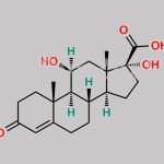 Cortienic Acid CAS#: 3597-45-3