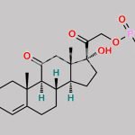 Cortisone Phosphate CAS#: 508-95-2