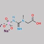 Creatine Phosphate Disodium Salt CAS#: 922-32-7