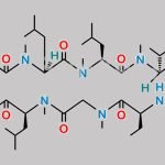 Cyclosporin A D4 CAS#: N/A
