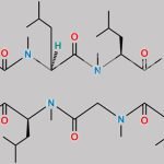 Cyclosporin EP Impurity B CAS#: 59865-15-5