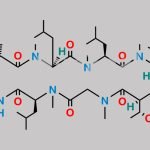 Cyclosporin C CAS#: 59787-61-0
