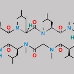Cyclosporin EP Impurity G CAS#: 63775-96-2