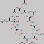 Cyclosporin E CAS#: 63798-73-2