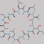 Cyclosporin EP Impurity F CAS#: N/A