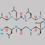 Cyclosporin G CAS#: 74436-00-3