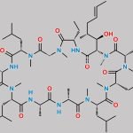 Cyclosporin Impurity 1 CAS#: 437611-17-1