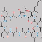 Cyclosporin T CAS#: 108027-44-7