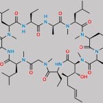 Cyclosporin EP Impurity E CAS#: 108027-46-9