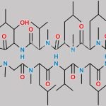 Cyclosporine  L CAS#: 108027-39-0