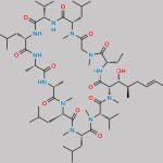 Cyclosporin EP Impurity D CAS#: 108027-45-8