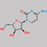 Cytarabine Impurity 3 CAS#: 179239-81-7