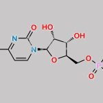 Cytidine-5-Monophospahte Methyl Ester CAS#: 52448-10-9