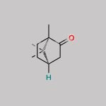 D-(+)-Camphor CAS#: 464-49-3
