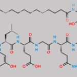 D-His(1)-Liraglutide CAS#: N/A