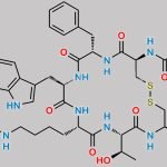 D-Lactolactoyl-Lys-Octreotide CAS#: 2821715-07-3