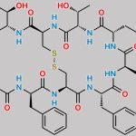 D-Lactolactoyl-Phe-Octreotide CAS#: N/A