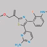 Dabrafenib Glucuronide CAS#: 2147682-66-2