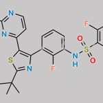 Dabrafenib Impurity 9 CAS#: 1195768-23-0