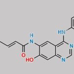 Dacomitinib Desmethyl Impurity CAS#: 2468202-15-3