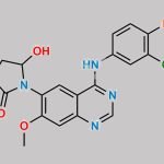 Dacomitinib Impurity 1 CAS#: 2190490-31-2