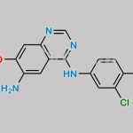 Dacomitinib Impurity 2 CAS#: 179552-75-1
