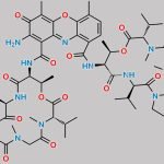 Dactinomycin CAS#: 50-76-0