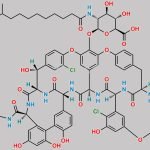 Dalbavancin Impurity 2 CAS#: N/A