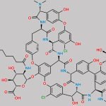 Dalbavancin Impurity 4 CAS#: N/A