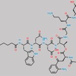 Daptomycin Anhydro Impurity CAS#: 121869-35-0