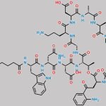 Daptomycin Impurity 1 CAS#: 500911-99-9