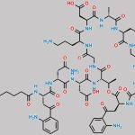 Daptomycin Impurity 16 CAS#: N/A