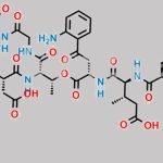 Daptomycin Impurity 15 CAS#: N/A