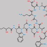 Daptomycin Impurity 18 CAS#: N/A