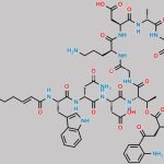 Daptomycin Impurity 2 CAS#: N/A