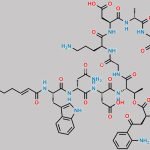 Daptomycin Impurity 23 CAS#: N/A