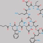 Daptomycin Impurity 25 CAS#: N/A