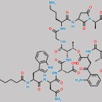Daptomycin Impurity 26 CAS#: N/A