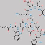 Daptomycin Impurity 4 CAS#: N/A