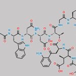 Daptomycin Impurity 5 CAS#: N/A